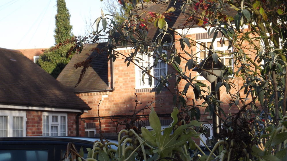 The Peacock Townhouse Hotel Kenilworth - Warwick Exteriör bild